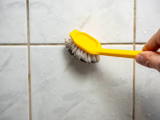 Best Black Mold Removal  in Cementon, PA